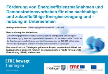 Studie zur energieeffizienten Wärmeversorgung Grenzstraße/Luckaer Straße